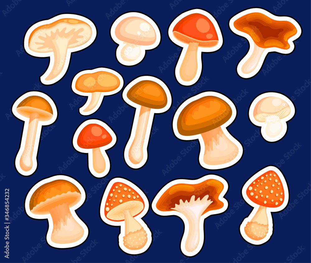 Cartoon mushroom sticker set. Cartoon mushroom sticker set.