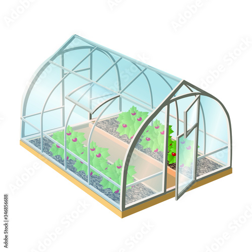  vector greenhouse with plants and glass with open door. Isolated illustration icon on white background. 