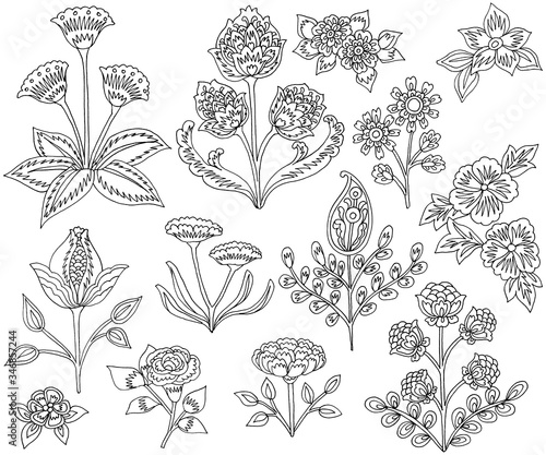 Hand-drawn flowers and leaves, Paisley Style, white background