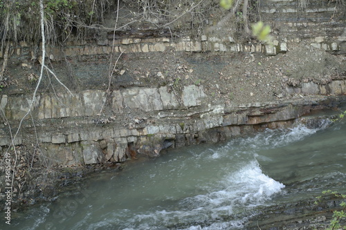 river in the forest