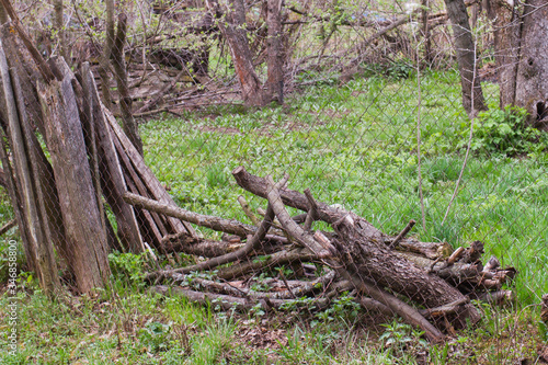 A stacked pile of broken old trees near the fence. Old branches and tree trunks lie in a heap on green grass