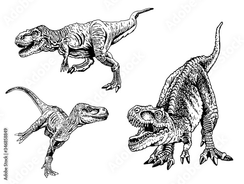 Graphical set of tyrannosauruses isolated on white background, vector illustration for tattoo ,logo and printing