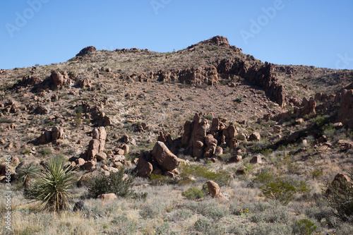 Desert Landscape from Big Bend