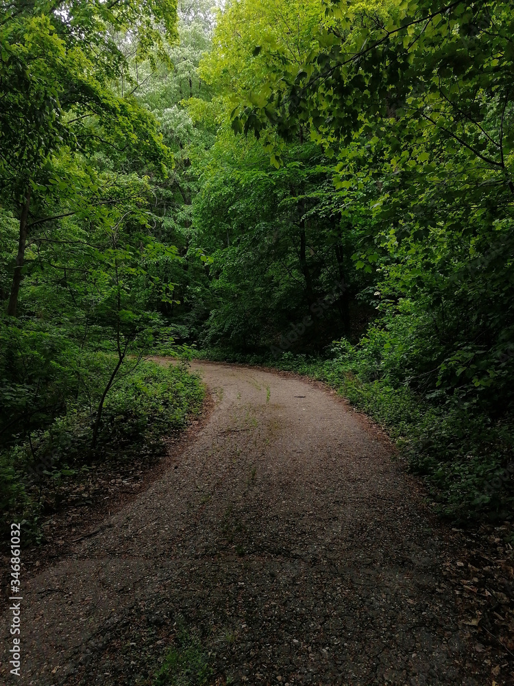 mistery road curve in middle of forest mistery road curve in middle of forest