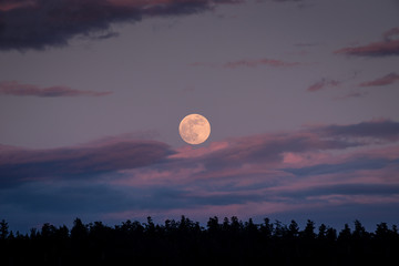 Fototapete Vollmond Vollmond am weiten Nachthimmel  © Patrick