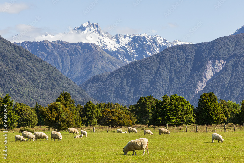 Mount of  Southern Alps. South Island, New Zealand