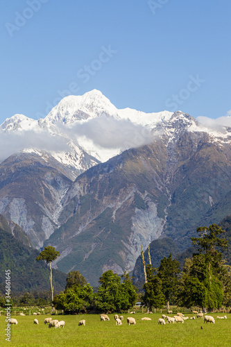 Portrait of Mount Cook. Southern Alps of New Zealand. South Island