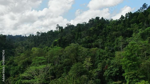 Wallpaper Mural Medium shot of Aerial view of Asia rainforest. Flight over the jungle by Drone. Day time with clouds and blue sky. Torontodigital.ca