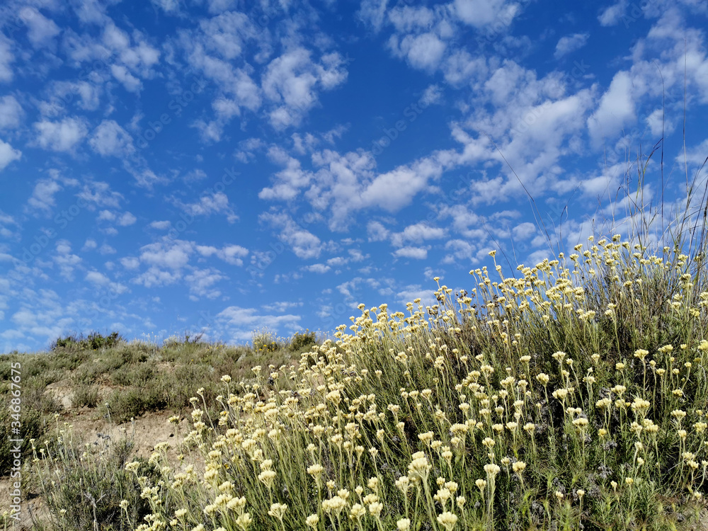 landscape of a moor with cloudy sky landscape of a moor with cloudy sky