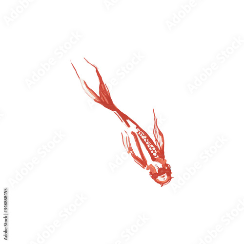 Canvas Print gold fish - poissons rouges - carpes koi