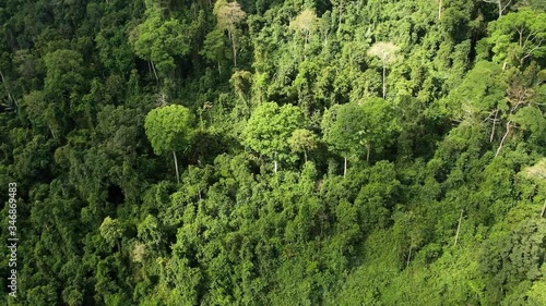 Wallpaper Mural Backward shot of Aerial view of Asia rainforest with moving shadow on the forest. Flight over the jungle by Drone. Day time. Video of nature. Torontodigital.ca