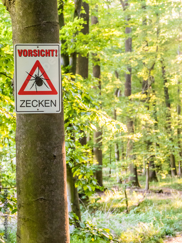 Vorsicht vor Zecken im Wald photo