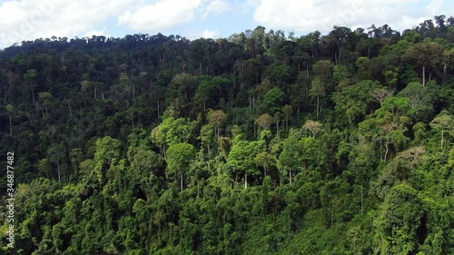 Wallpaper Mural  Dolly in of Aerial view of Asia rainforest. Flight over the jungle by Drone. Day time with clouds and blue sky. Torontodigital.ca