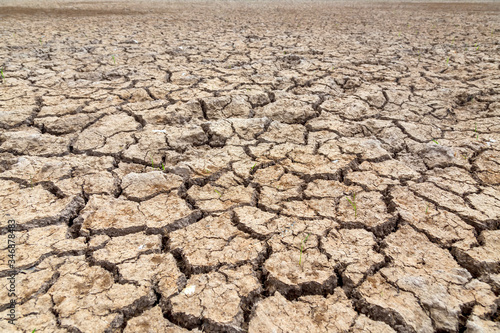 Cracked soil in the summer with the sun. Cracks of the dried soil in arid season at rural Thailand.