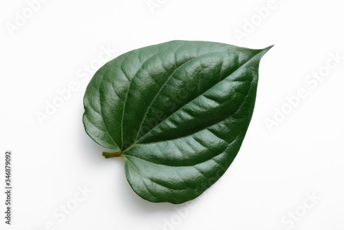 Isolate on white background of the natural leaves Betel texture.
