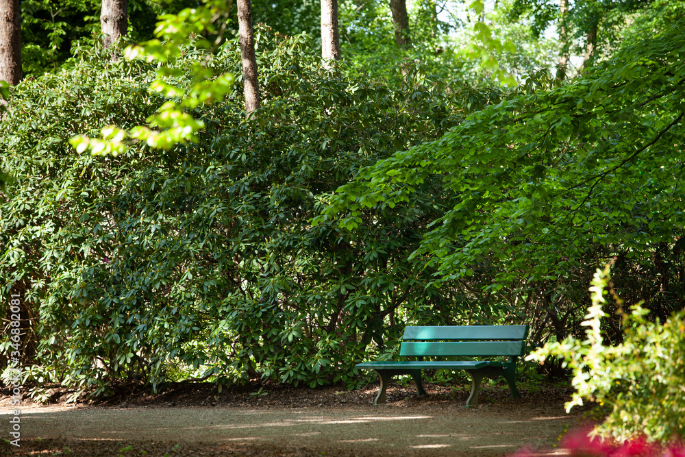 A green bench in a public park among lush greenery.