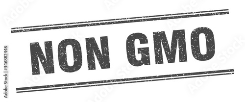 non gmo stamp. non gmo label. square grunge sign