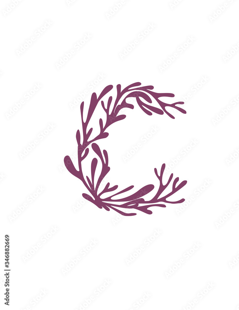 Obraz Letter C purple colored seaweeds underwater ocean plant sea coral elements flat vector illustration on white background