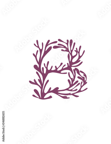 Letter B purple colored seaweeds underwater ocean plant sea coral elements flat vector illustration on white background