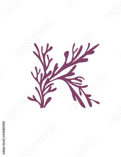 Letter K purple colored seaweeds underwater ocean plant sea coral elements flat vector illustration on white background