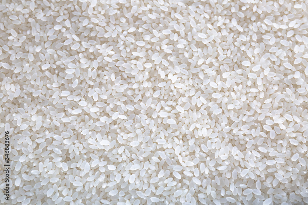 Japanese Rice お米 Japanese Rice お米