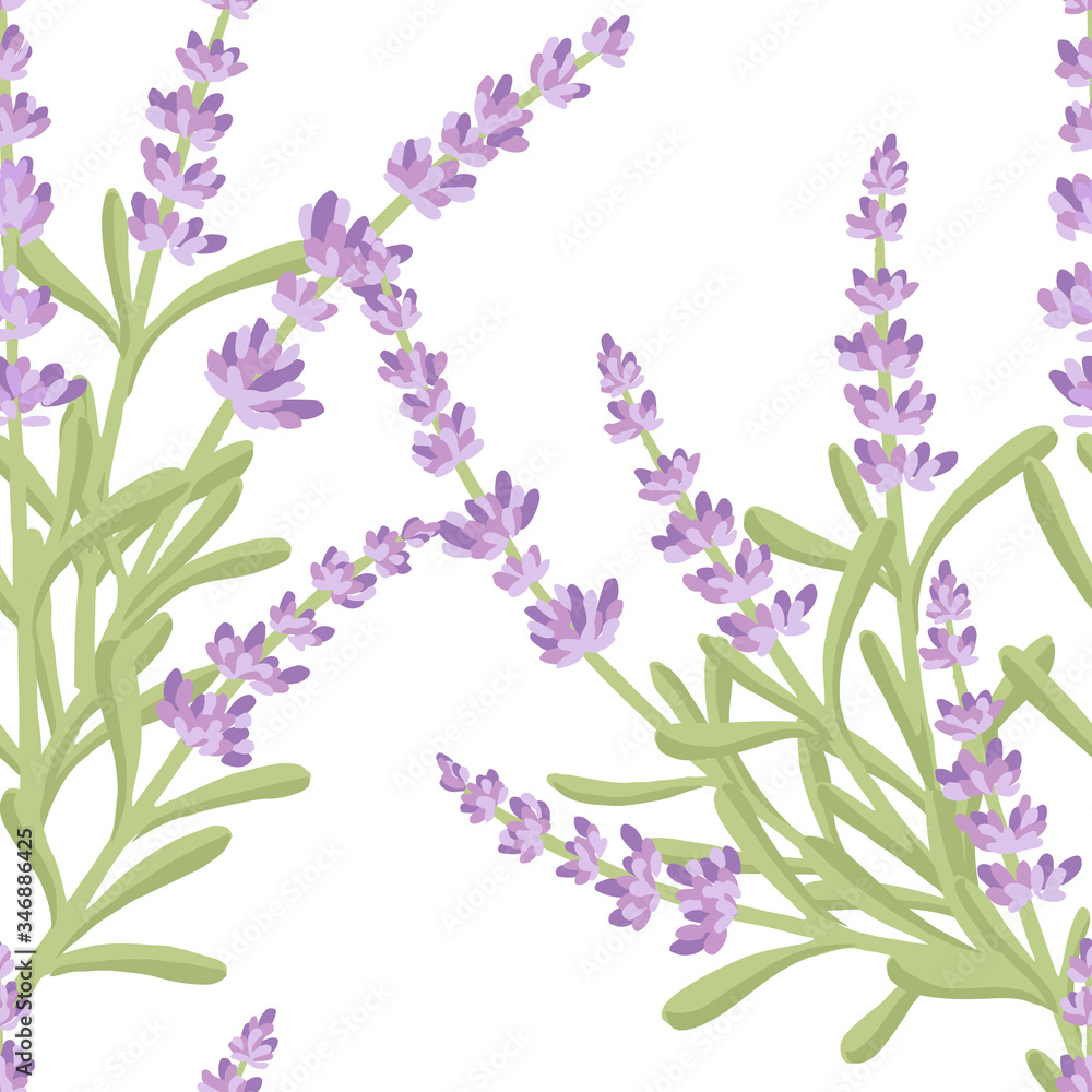 Seamless pattern with lavender flowers summer herbal natural bouquet flat vector illustration on white background