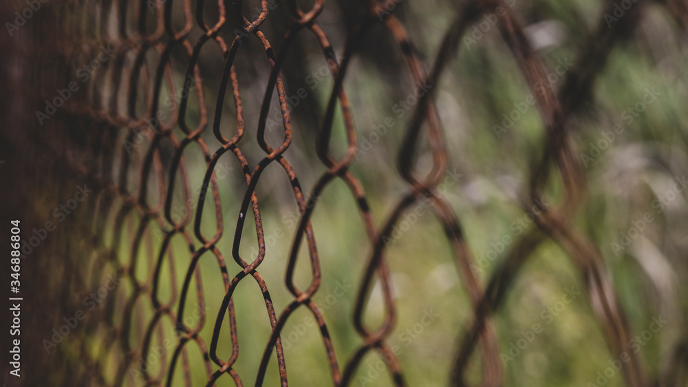 rusty wire fence in perspective. rusty wire fence in perspective.
