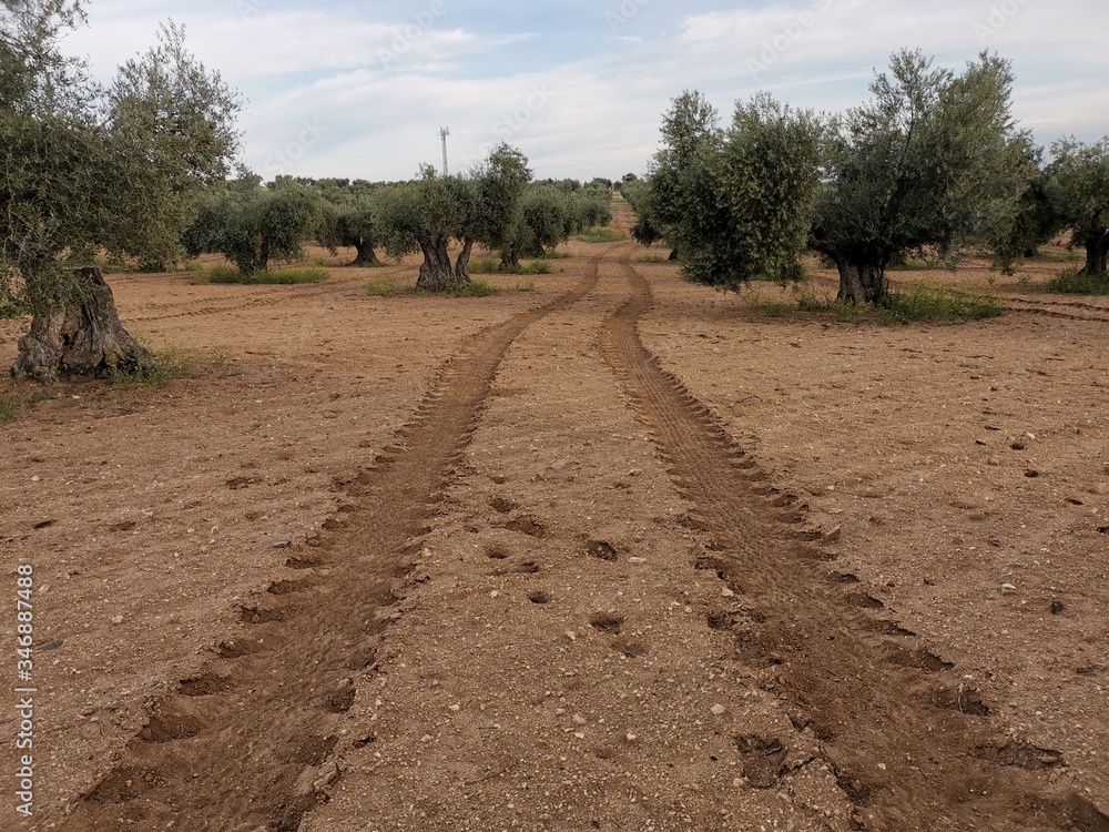 Huellas de tractor Huellas de tractor