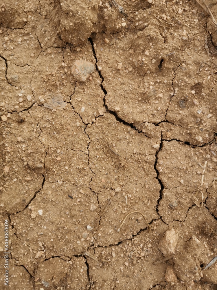 Suelo de tierra y sequia Stock Photo | Adobe Stock