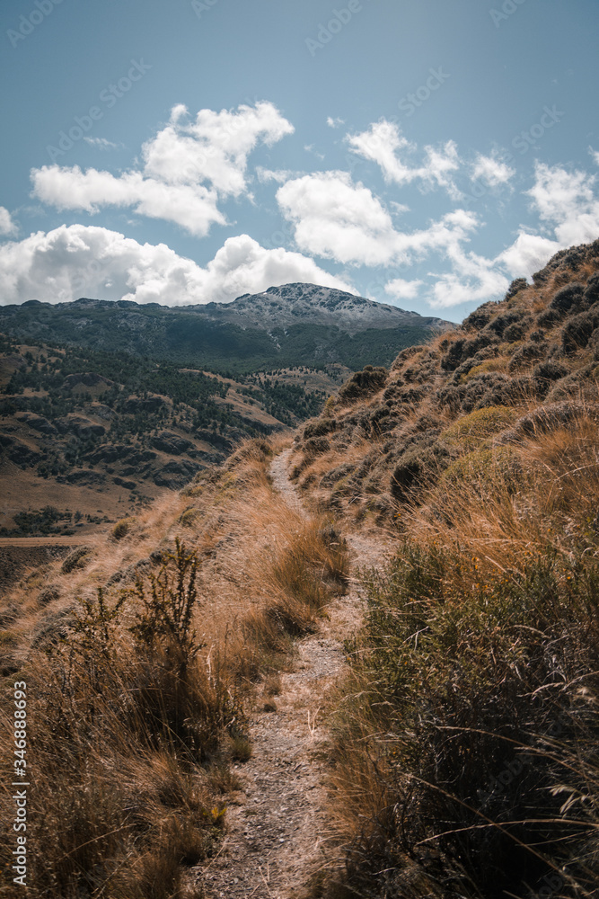 mountain trail in the mountains