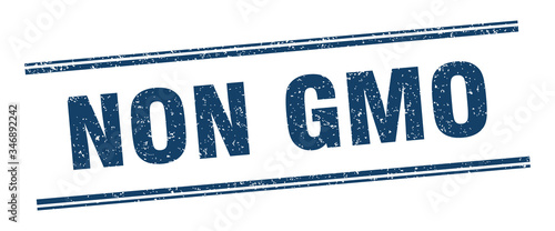 non gmo stamp. non gmo label. square grunge sign