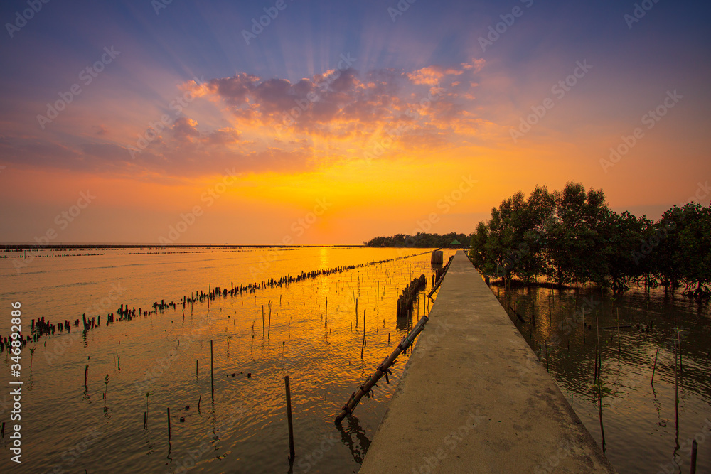Fototapeta premium Natural background of route amidst the sea and the mangrove forest and beautiful nature during sunrise ,sunset. Beautiful landscape of Thailand