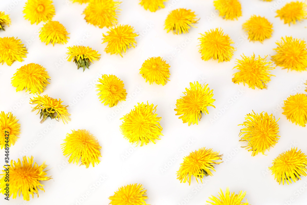 Flowers seamless pattern, dandelions. Summer concept, top view, flat lay Flowers seamless pattern, dandelions. Summer concept, top view, flat lay