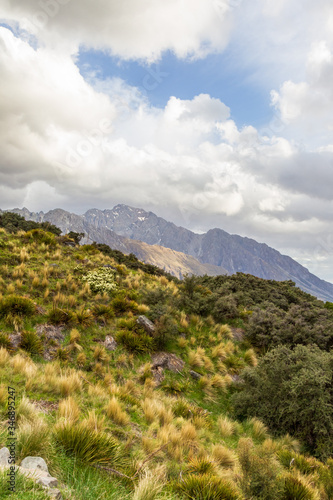Southern Alps. Trek to Lake Tasman. South Island, New Zealand © Victor