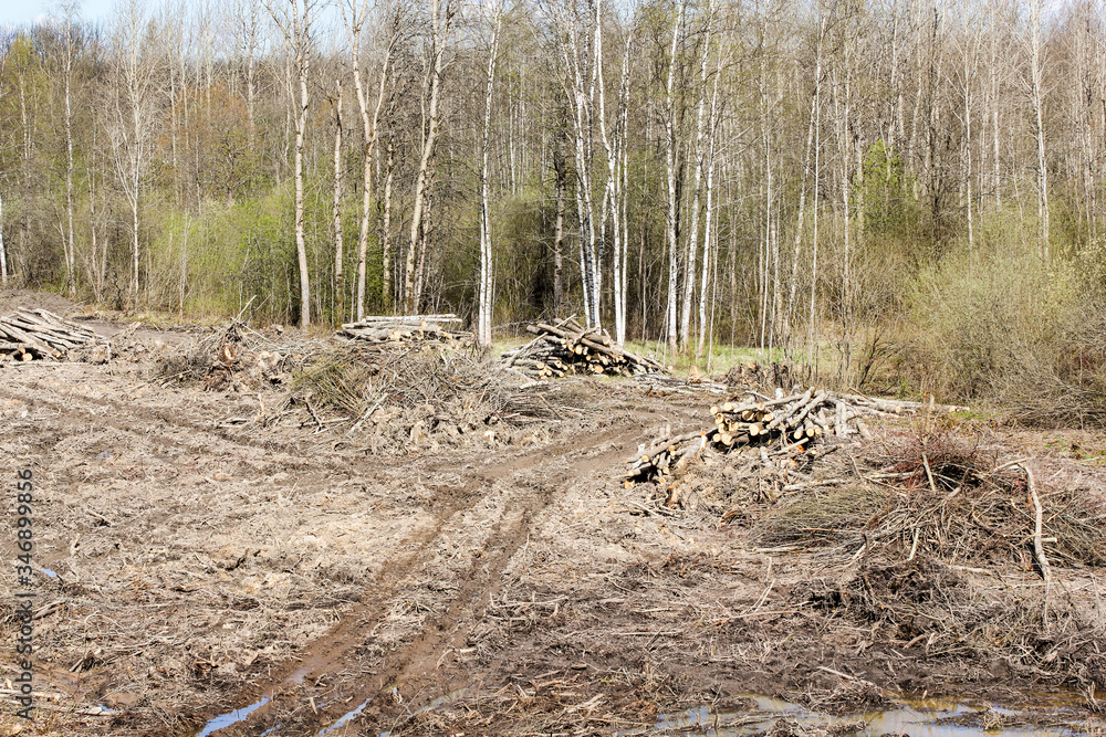 Cleaning areas from the forest.