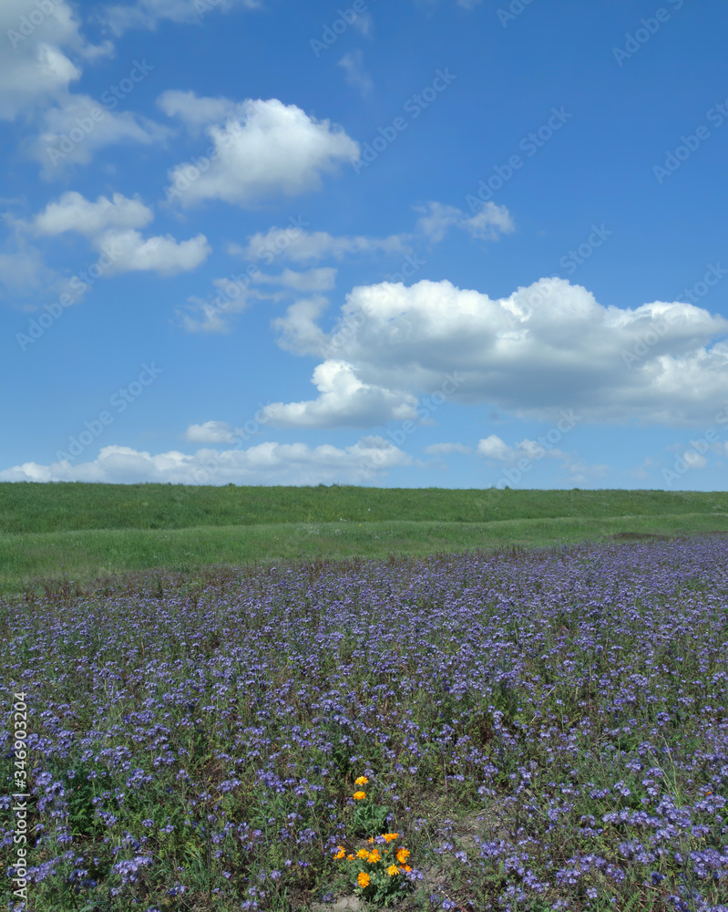 Frühlimg im Rheinland,Deutschland