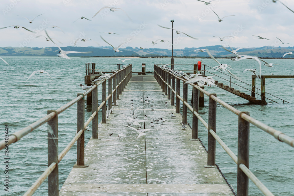 Naklejka premium Na pomoście latają ptaki