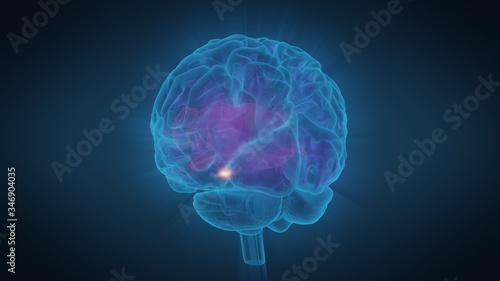 3d illustration human brain with convolutions and a radiance of light