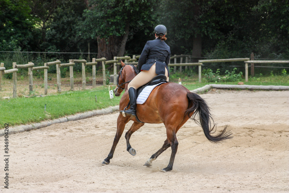young woman riding horse young woman riding horse