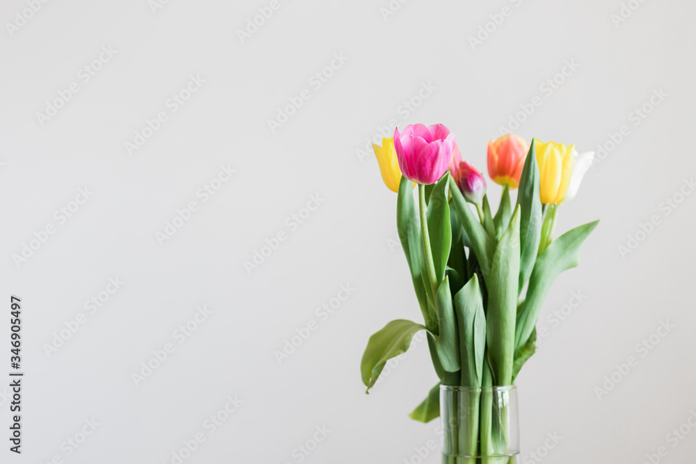 Beautiful multicolored tulips in a vase on white background Beautiful multicolored tulips in a vase on white background