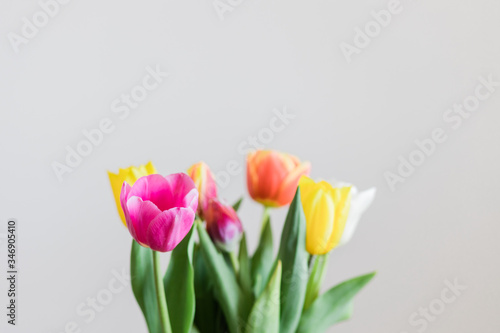 Beautiful multicolored tulips in a vase on white background