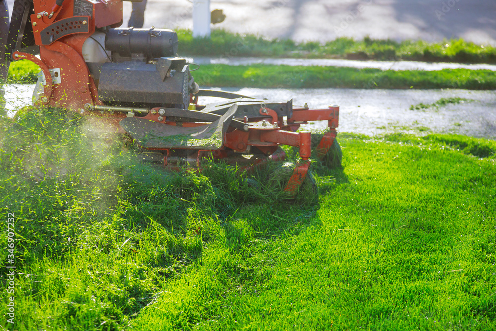 Man worker cutting grass in summer with a lawn mower - obrazy, fototapety, plakaty 