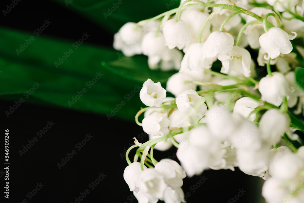 bouquet of lilies of the valley on a black wooden background bouquet of lilies of the valley on a black wooden background