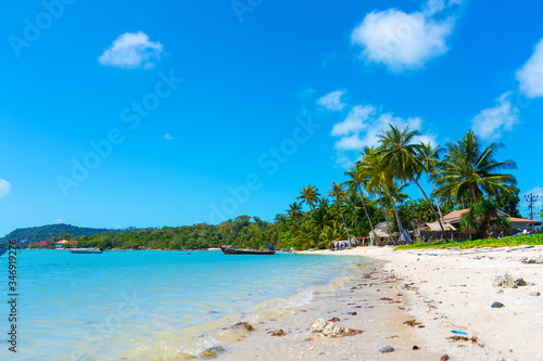 Fototapeta Naklejka Na Ścianę i Meble -  Gorgeous tropical sandy beach with palm trees, blue sky and clear water.