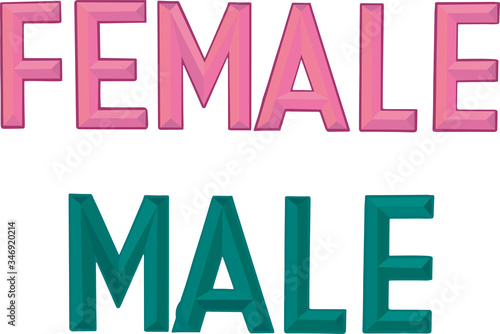 Female, male - sign chisel alphabet font for print industry, home decoration, social media, magazin heading, web design. Vector stock illustration isolated on white background. EPS10