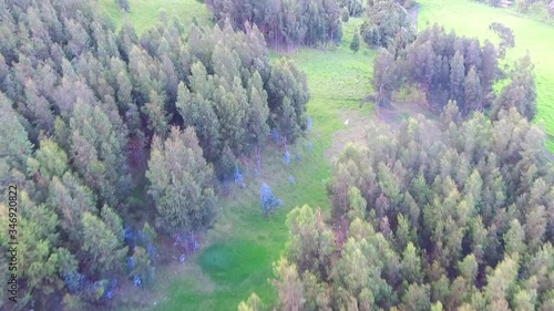 Green meadows, Library, roads of Cajica photo