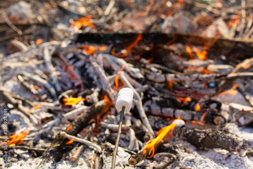 Camping bonfire, frying marshmallows at the stake Camping bonfire, frying marshmallows at the stake