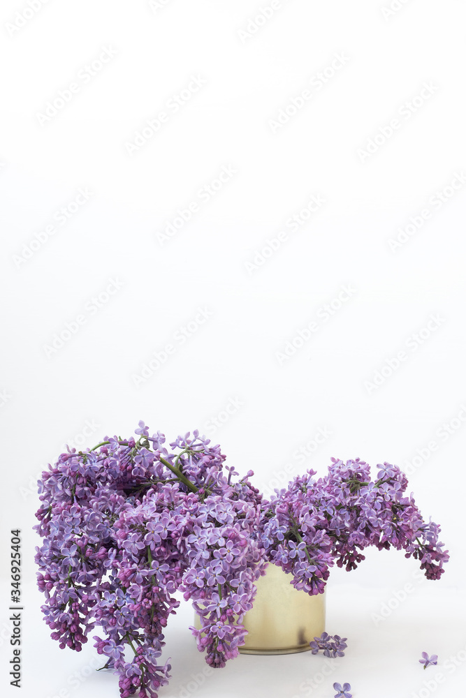 bouquet of lilacs in an iron can on a white background