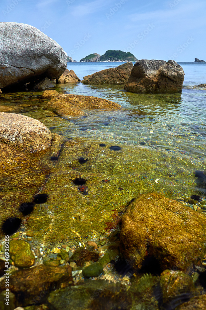 Sea coast with clear water. Stones and sea urchins at the bottom.