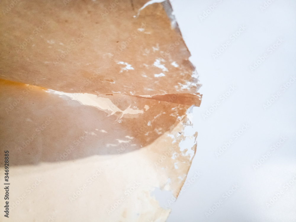 Fototapeta premium Paper swallowed with silverfish. Traces of wrecking silverfish on vinyl envelopes.